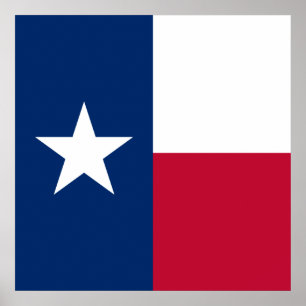 Poster Bandeira do Estado Texano (Texas)