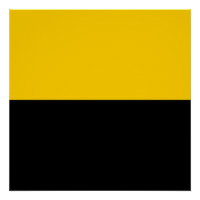 Bandeira do IJsselstein