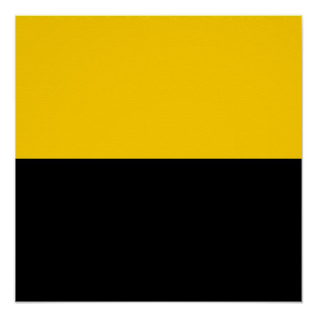 Póster Bandeira do IJsselstein (Frente)