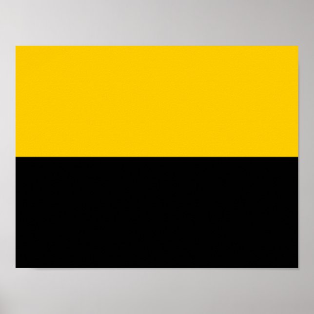 Póster Bandeira do IJsselstein (Frente)