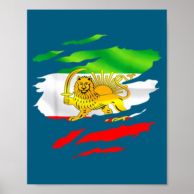 Poster Bandeira do Irã Mapa Leão Sol Conscientização Apoi (Frente)