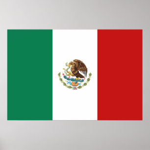 Póster Bandeira do México