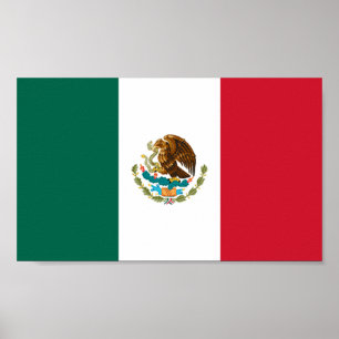 Póster Bandeira do México