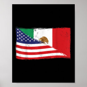 Poster Bandeira do México - Usa Bandeira Americana Orgulh