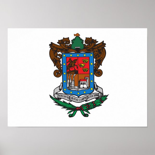 Poster Bandeira do Michoacan (Frente)