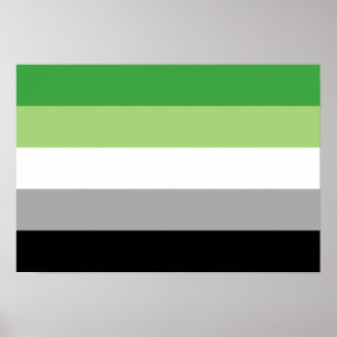 Poster Bandeira do Orgulho Aromântico