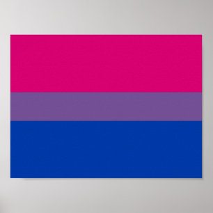 Poster Bandeira do Orgulho Bissexual