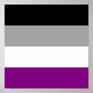 Poster Bandeira do orgulho do Asexuality