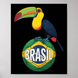 Poster Bandeira do Orgulho do Brasil Brasil Toucan Bola d