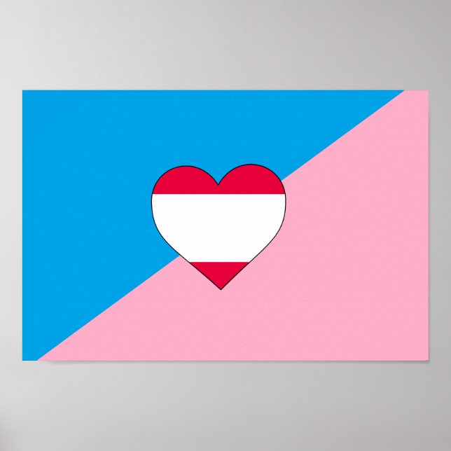 PÓSTER BANDEIRA DO ORGULHO DO JOGO DE IDADE (Frente)