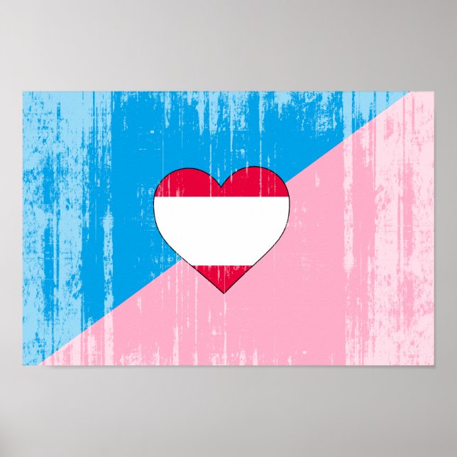 PÓSTER BANDEIRA DO ORGULHO DO JOGO DE IDADE (Frente)