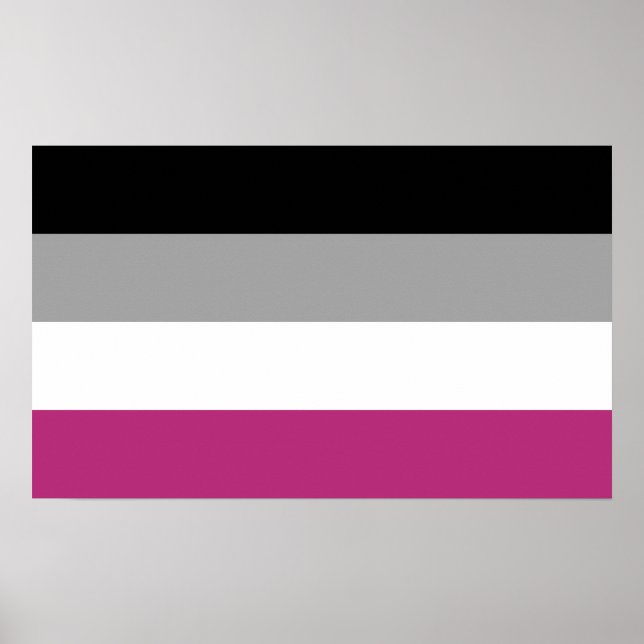 Poster Bandeira do Orgulho Gynephilia (Frente)