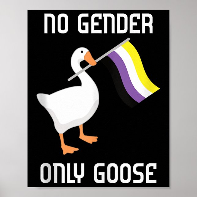 Poster Bandeira do Orgulho Sem Gênero do Ganso Não Binári (Frente)
