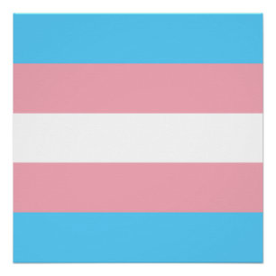 Póster Bandeira do Orgulho Transgênero - Arco-íris LGBT