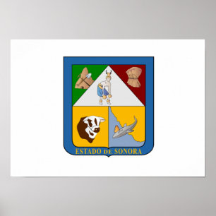 Póster Bandeira do Sonora