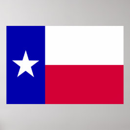 Póster Bandeira do Texas