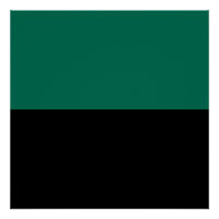 Bandeira do Texel