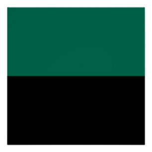 Póster Bandeira do Texel