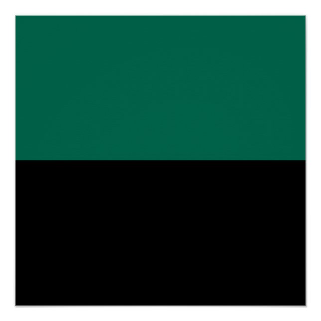 Póster Bandeira do Texel (Frente)