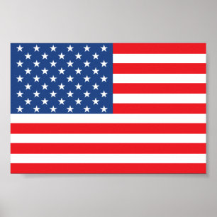 Póster Bandeira dos EUA