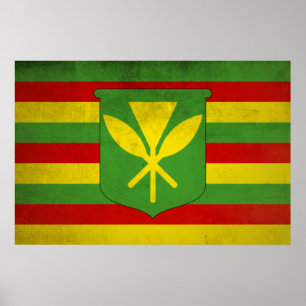 Poster Bandeira dos havaianos nativos