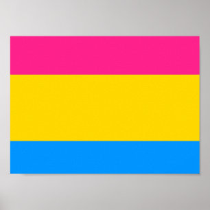 Póster Bandeira Pansexual do orgulho