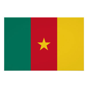 Póster Bandeira Patriótica do Camarão