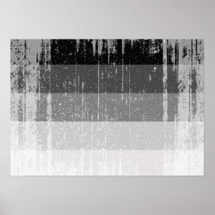 Póster BANDEIRA RETA DISTRUIDA -.png