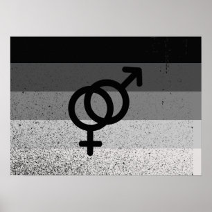 Póster BANDEIRA RETA ORIGINAL COM SÍMBOLO -.png