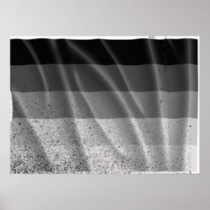 Póster BANDEIRA RETA VOANDO -.png