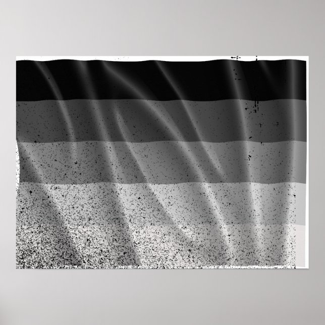 Póster BANDEIRA RETA VOANDO -.png (Frente)