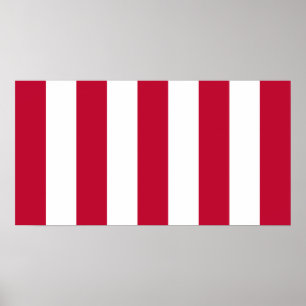 Poster Bandeira US Sons Of Liberty 9 Listras