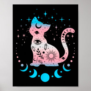 Poster Bandeiras do Orgulho Transgênero Cores de Gato