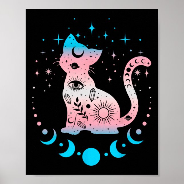 Poster Bandeiras do Orgulho Transgênero Cores de Gato (Frente)