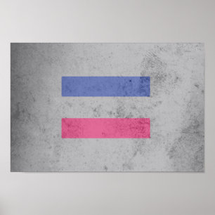 PÓSTER BANDERA DO ORGULHO ANDRÓGINO