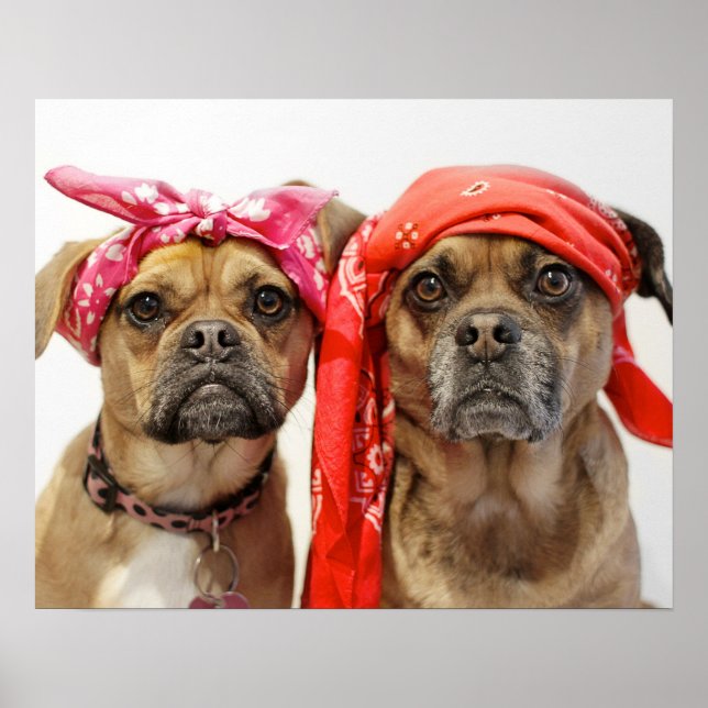 Poster bandidos (Frente)