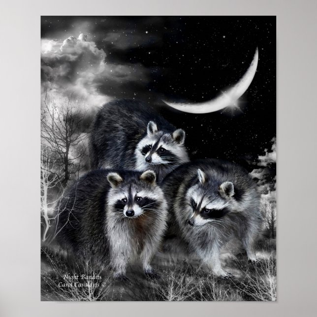 Póster Bandidos noturnos - Poster/Impressão (Frente)