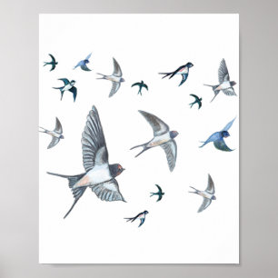 Poster Bando de aves de engomar voando