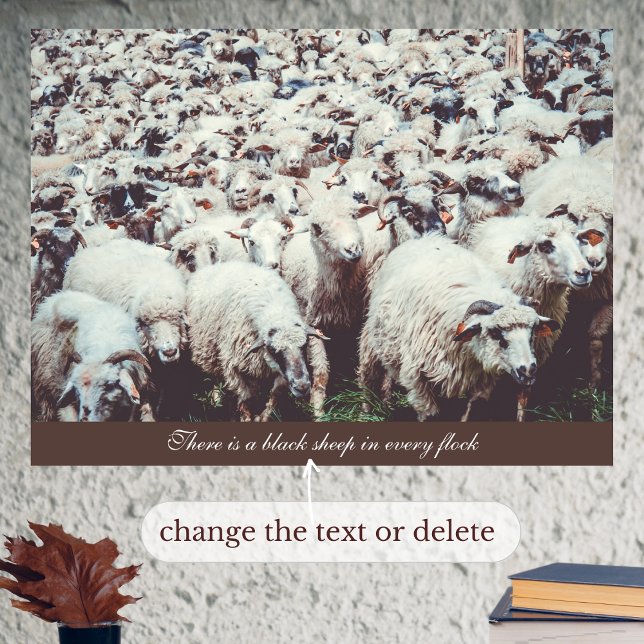 Poster Bando de ovelhas brancas e pretas (Criador carregado)