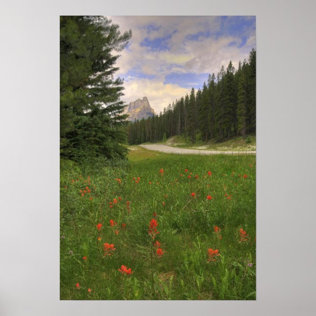 Póster Banff National Park (Frente)