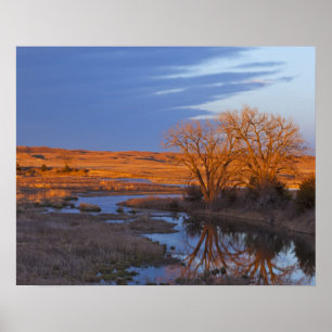 Póster Banhado à luz do sol, o rio Calamus