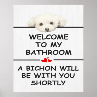 Poster Banheiro Bichon Frise