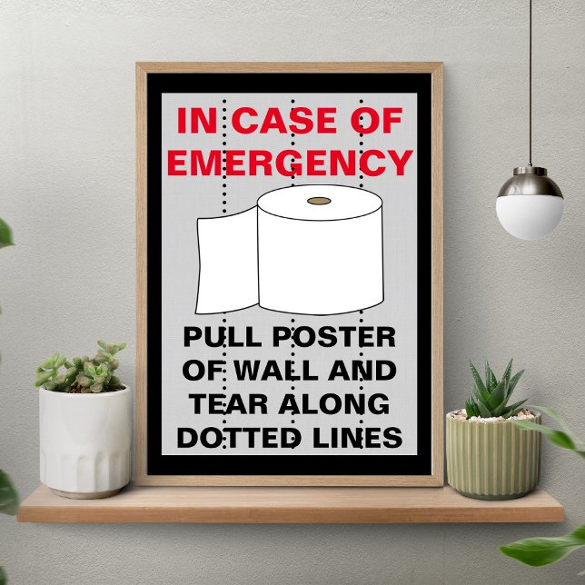 Póster Banheiro de Papel Engraçado (Criador carregado)