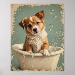 Poster Banho de cão bonito e vírgula