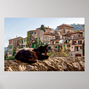 Poster Banho de sol de gato - Valldemossa, Maiorca