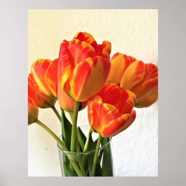 Poster Banja Luka Tulips (Frente)