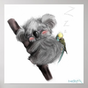 Poster Banjo Koala e Benji Bird