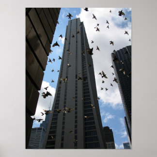 Poster Bank One Plaza vs Pigeon Escape