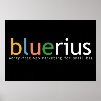 Póster banner bluerius.com
