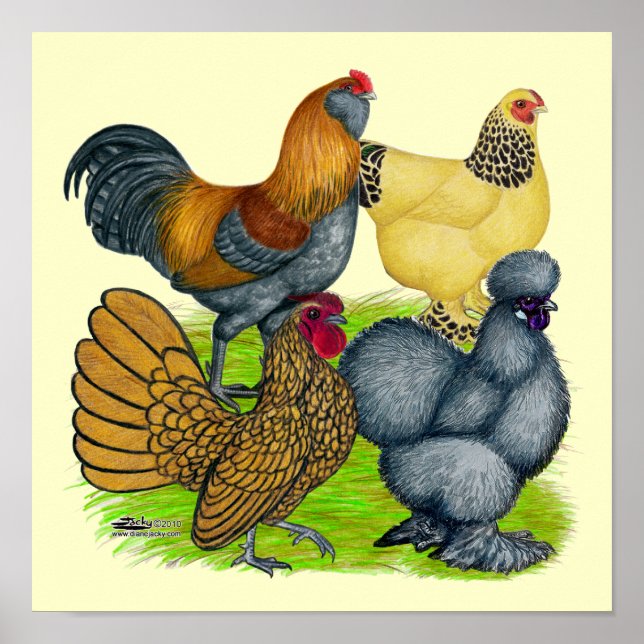 Poster Bantam Quartet (Frente)